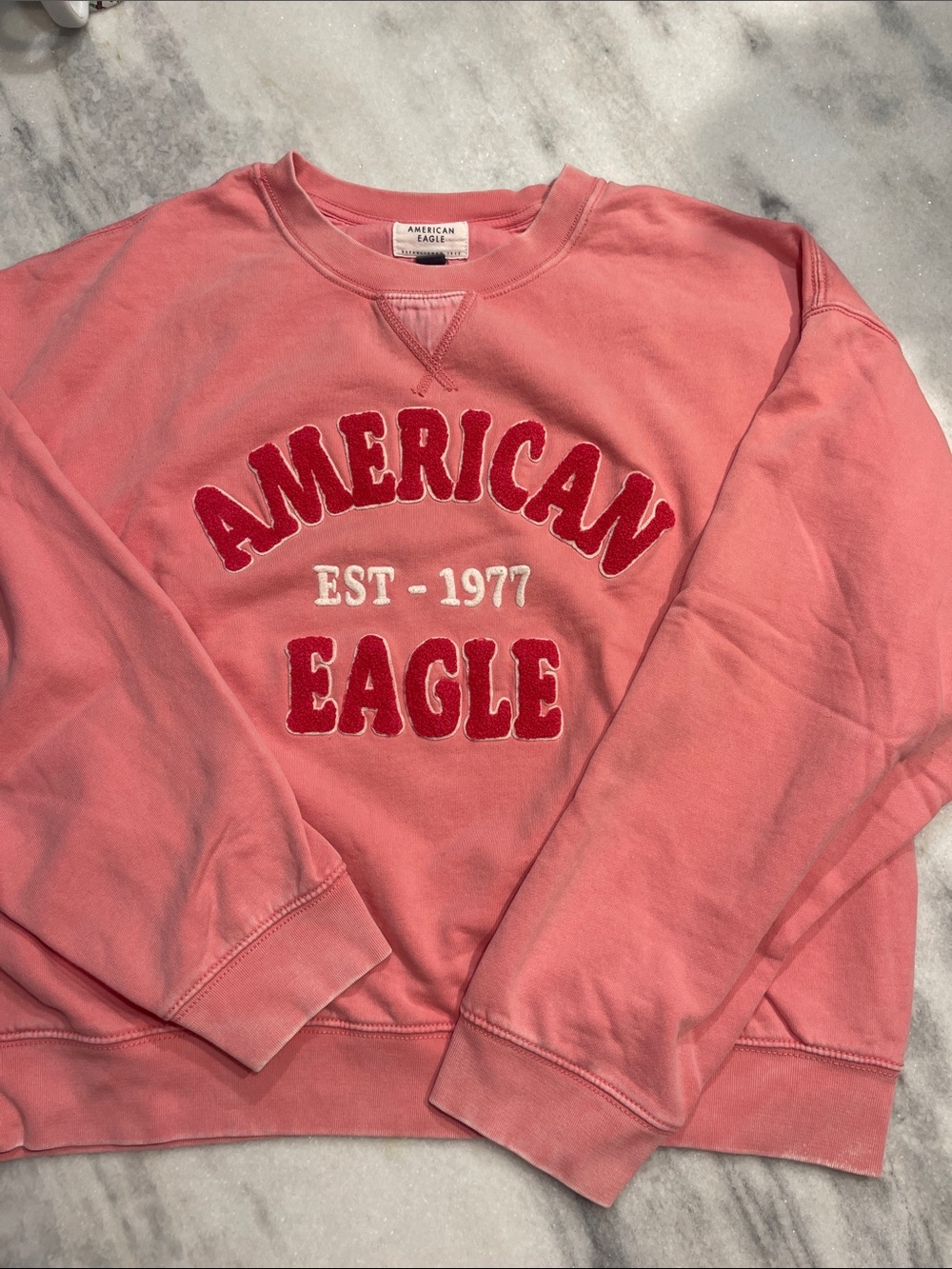 American Eagle Outfitters Coral Pink Crewneck Sweatshirt with Red Applique